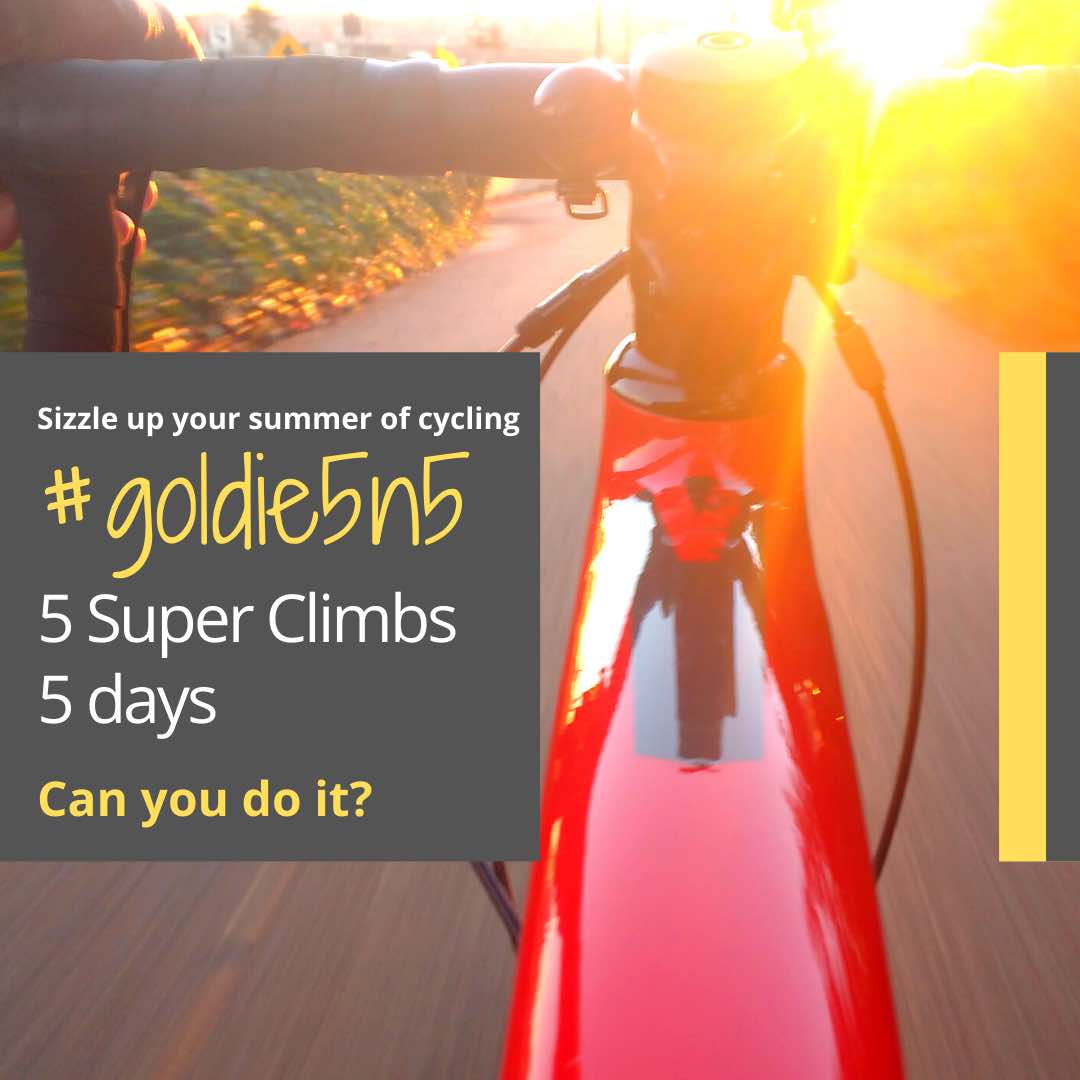 Group Rides Gold Coast Ride Gold Coast